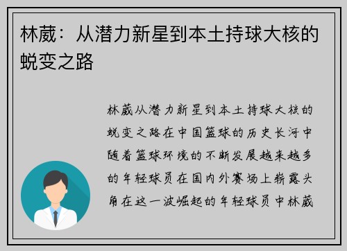 林葳：从潜力新星到本土持球大核的蜕变之路