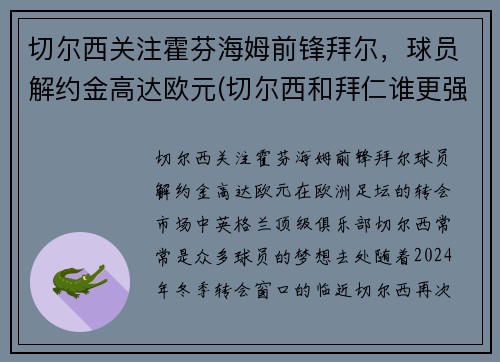 切尔西关注霍芬海姆前锋拜尔，球员解约金高达欧元(切尔西和拜仁谁更强)