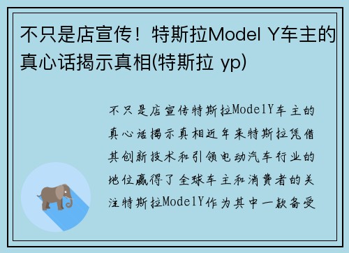 不只是店宣传！特斯拉Model Y车主的真心话揭示真相(特斯拉 yp)