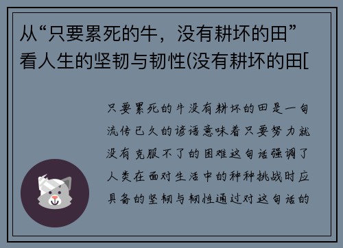 从“只要累死的牛，没有耕坏的田”看人生的坚韧与韧性(没有耕坏的田[捂脸])